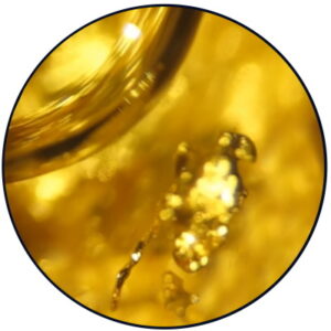 The Midas I (Eye)Ltd Logo