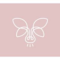 Macfly DMC Logo