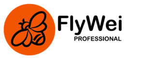 FlyWei PROFESSIONAL Logo