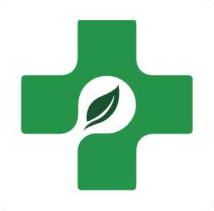 Care Audits Logo